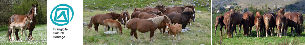 Vacche e Cavalli: la complementarità del pascolo protegge il territorio e tutela le Biodiversità